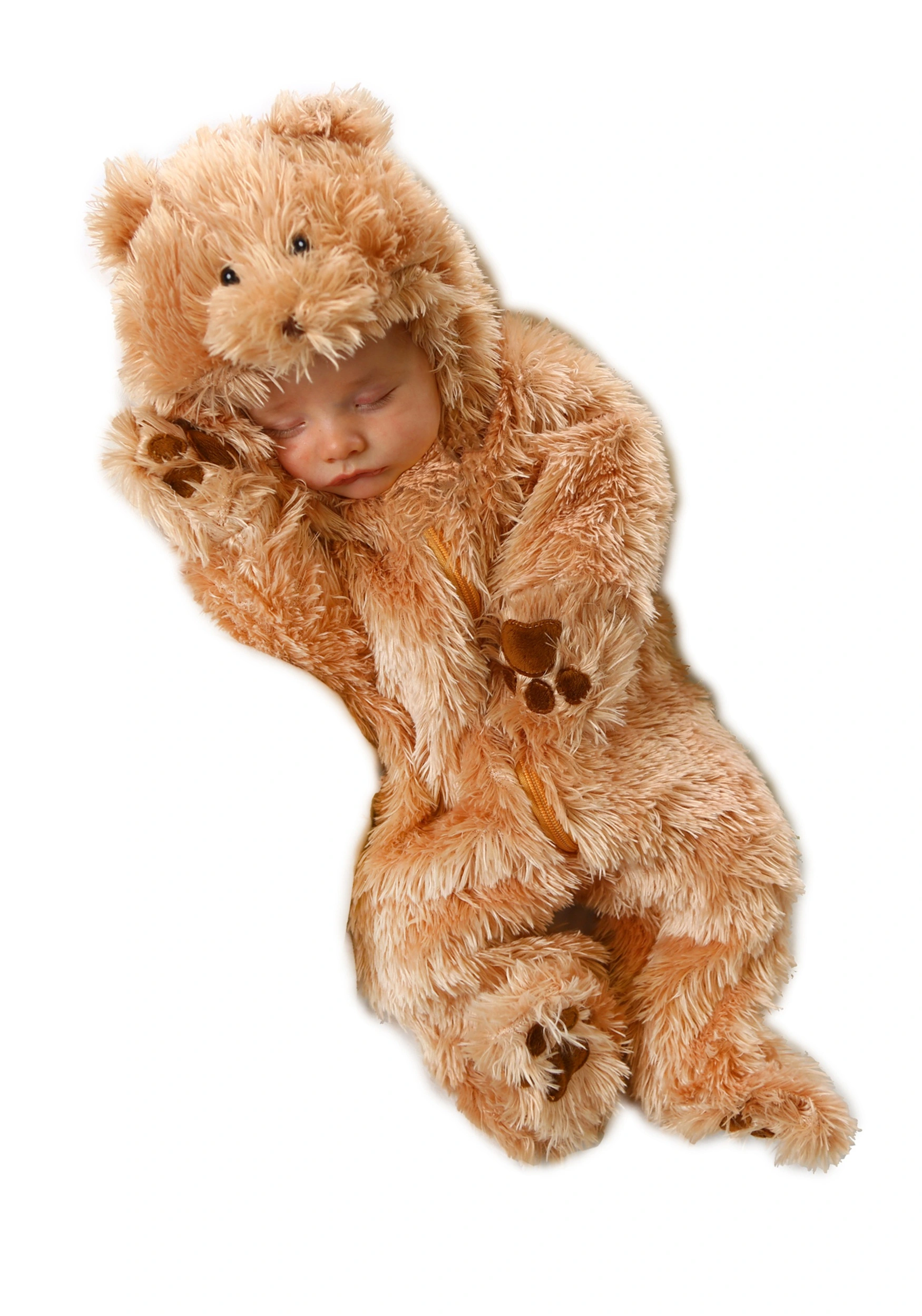 Princess Paradise Cuddly Bear Infant Costume